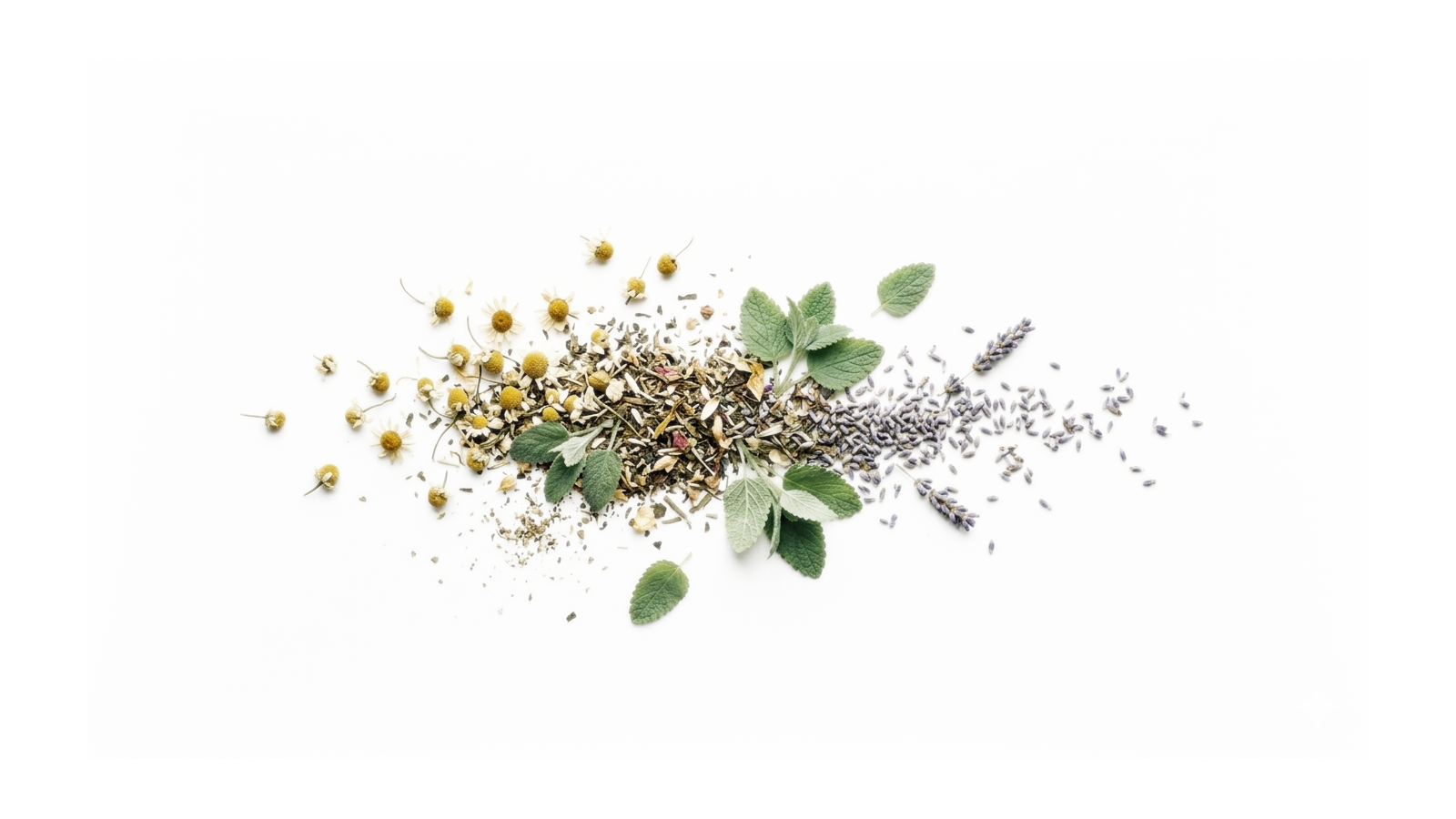 Schlaftees im Check: Welche Kräuter abends wirklich helfen | MONDSTEIN